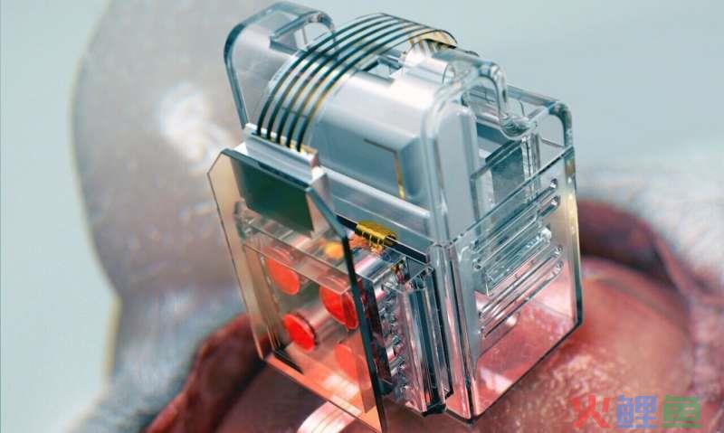  什么是领导替代理论？ 