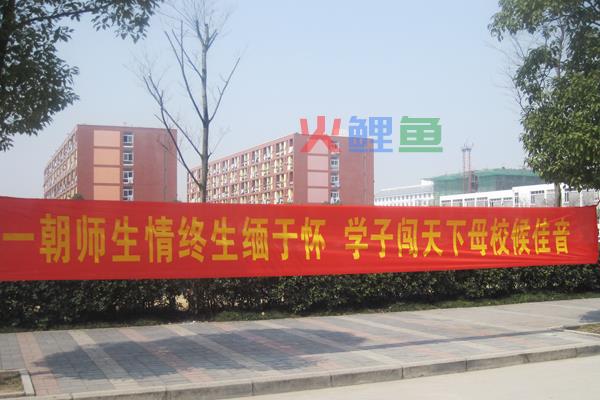 搞笑毕业横幅标语 毕业生横幅标语