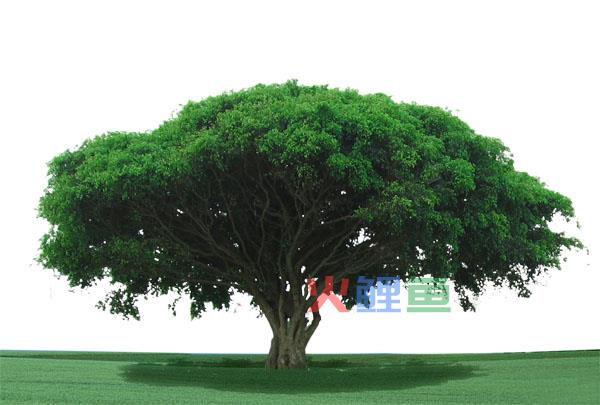 经验分享：有一种成功叫加速