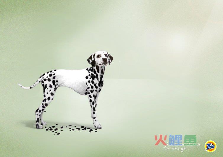 关于平面广告设计中有关图片的问题解答