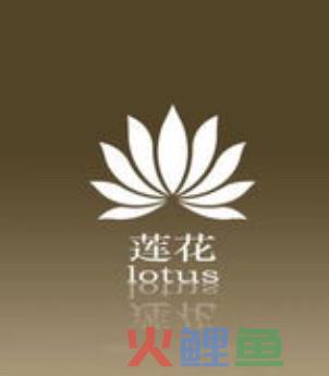 不同的产品宣传册设计如何精简