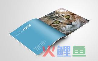掌握宣传册制作的几大技巧