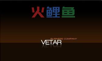 网站flash设计应该了解的七个事项
