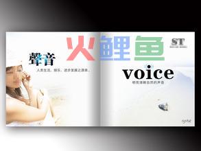 完成宣传册设计制作时对编排的处理