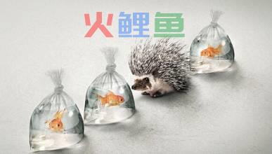 成为平面广告设计师需要掌握的技能