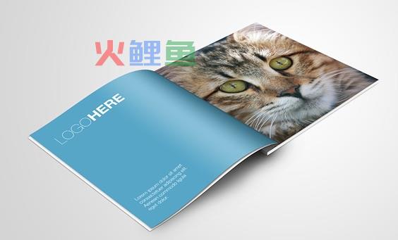 如何来布置宣传册制作的文字图形