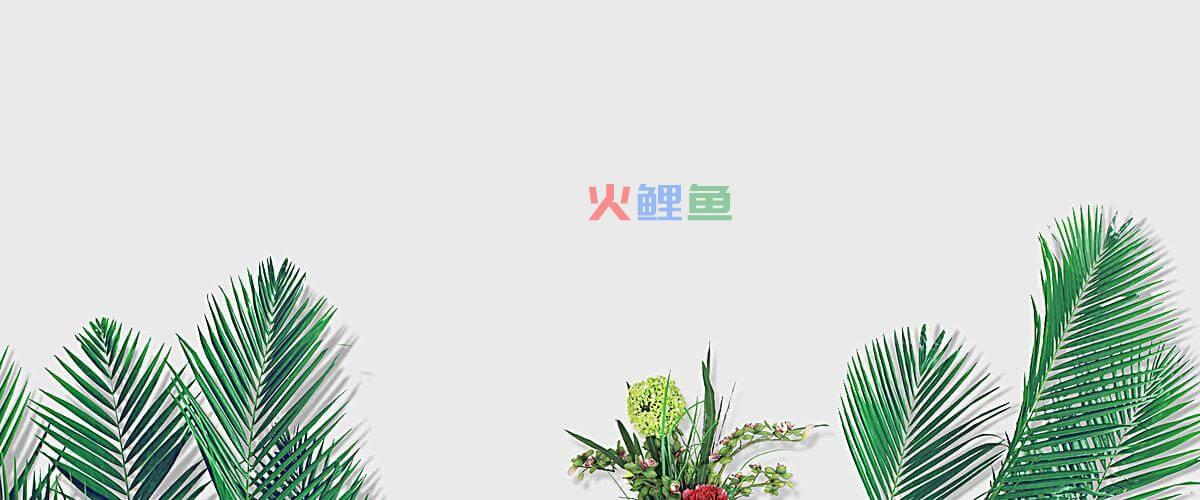 “去中心化计算”的未来设想：软件开发将迎革新，云计算大势已去