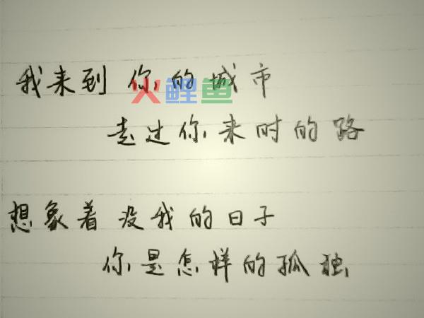 歌曲内线歌词中透露的感人故事