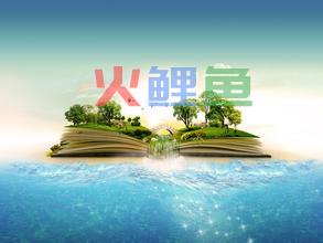 进行个性海报设计不得不知的构图技巧
