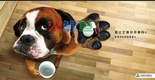 平面广告设计可以分为哪些种类