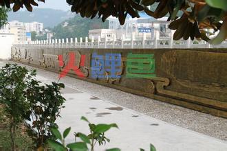 校园文化墙设计内容有什么