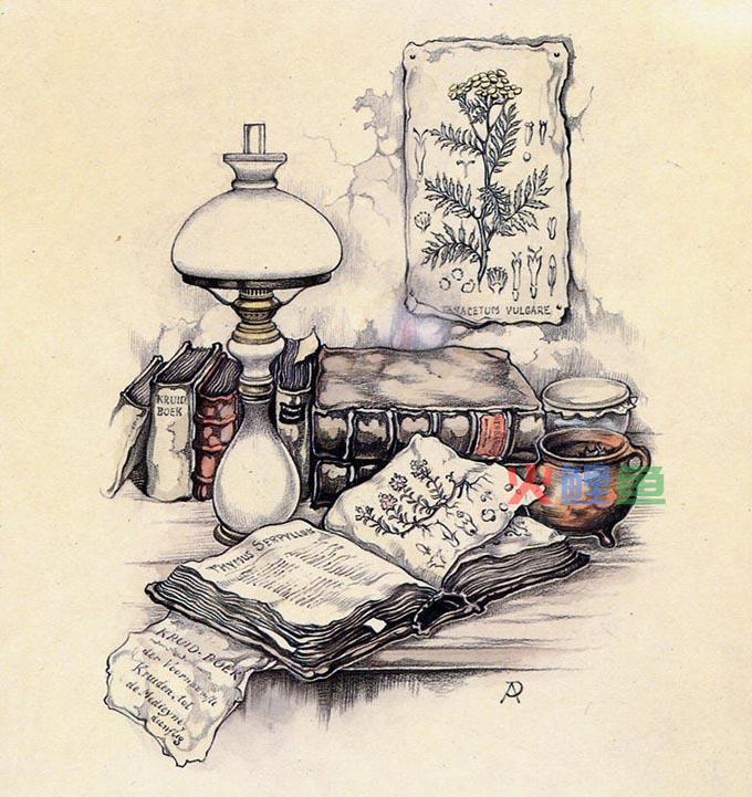 现代插画设计应用范围及形式的多样