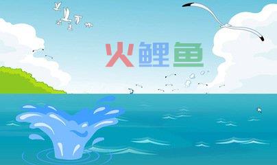 目前flash设计的前景究竟如何