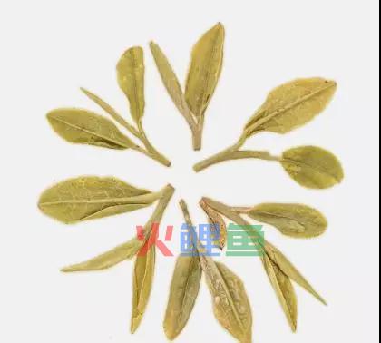 茶叶行业适合微信小程序开发吗？有什么功能优势？