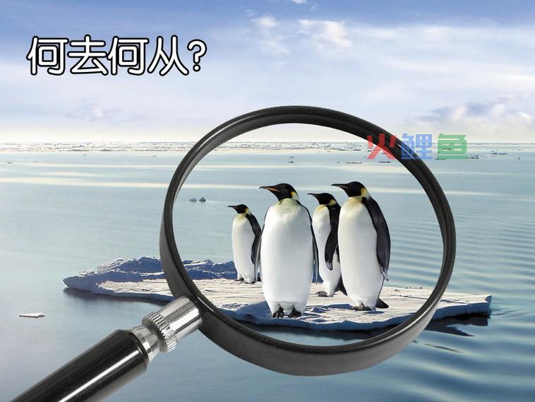 公益广告语大全 经典公益广告语大全