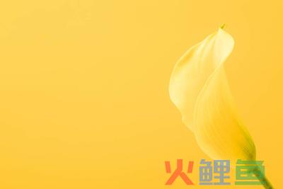 eBay押注中国跨境电商