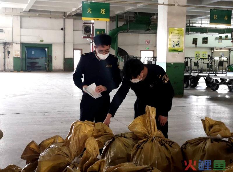 东北地区首条海运邮路开通 辽宁邮政出口邮件直航美洲(辽宁跨境电商课题)
