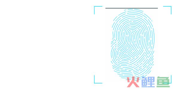 【喜讯】续牌后的新支付牌照现身盛付通(跨境支付牌照27家)