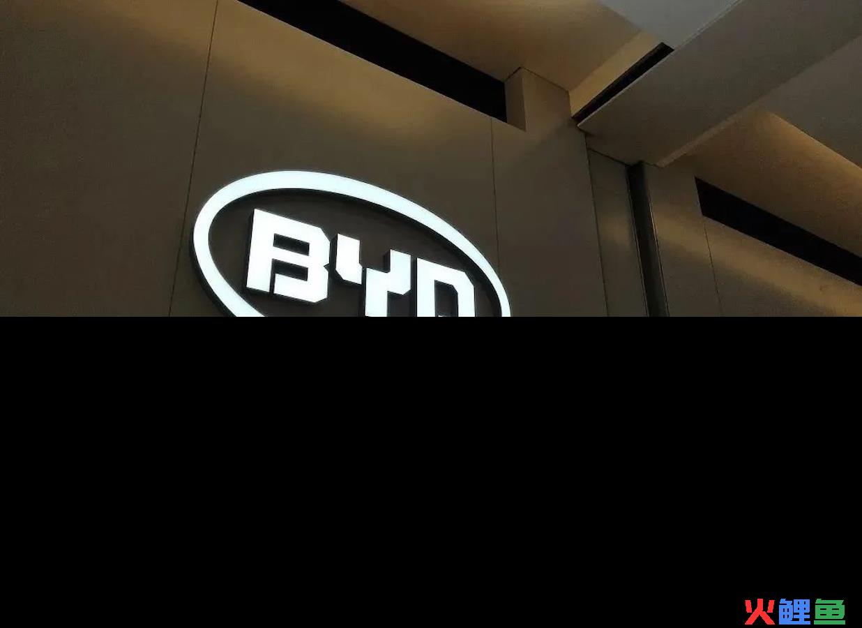 新能源车企比亚迪创新4大策略2年跨越式增长