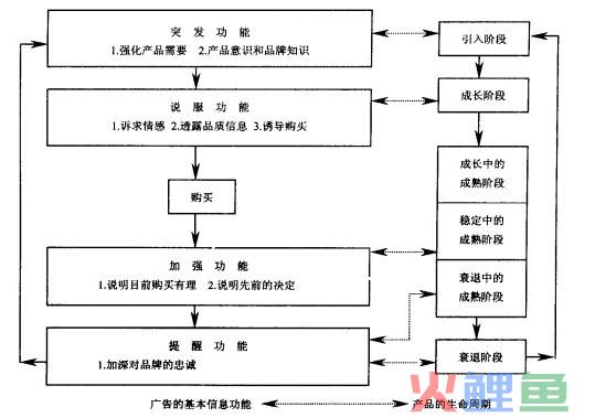 广告策略选择内容