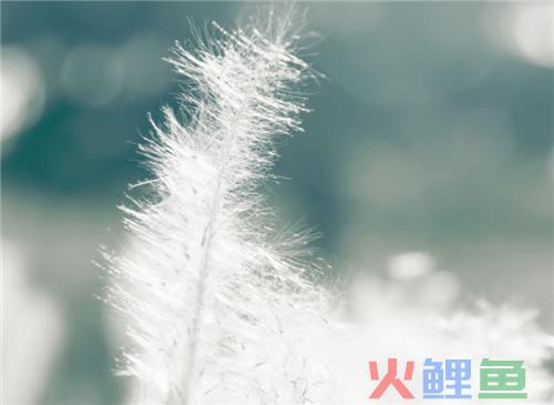 什么是寄放销售