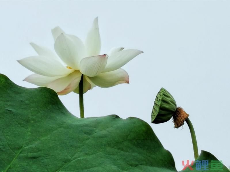  什么是价格听证会 