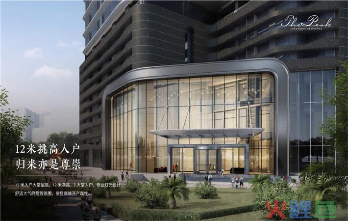  什么是口岸价格法 