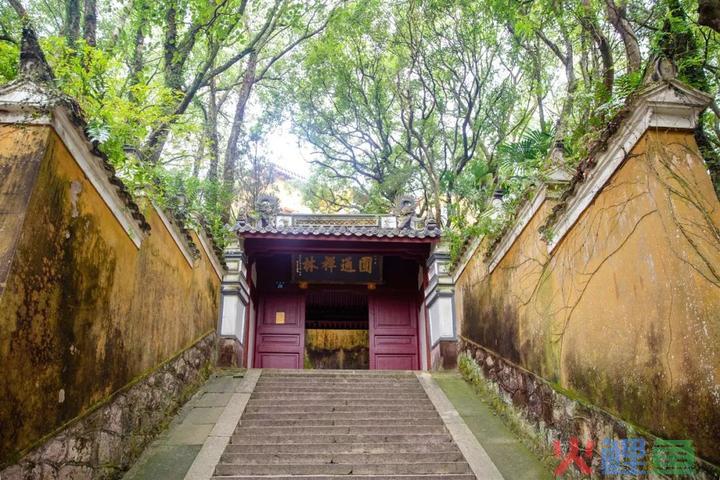 什么是交错降价