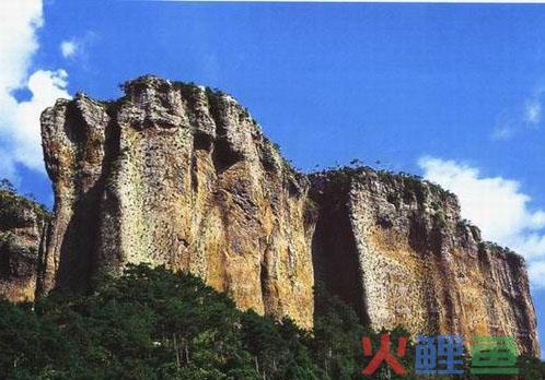 什么是供求动态预测 