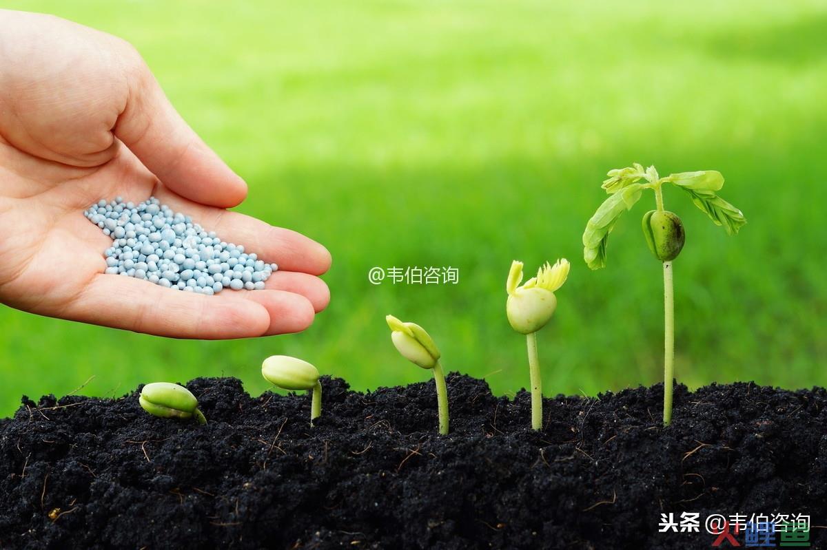  什么是市场普查法 