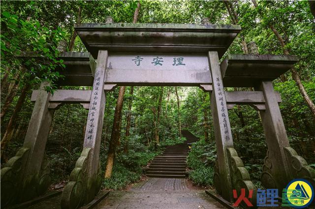  什么是追烟法 