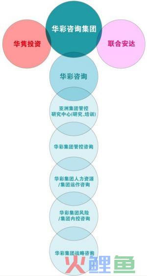 华彩咨询集团组织结构图
