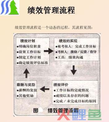 案例：杉杉集团绩效管理流程