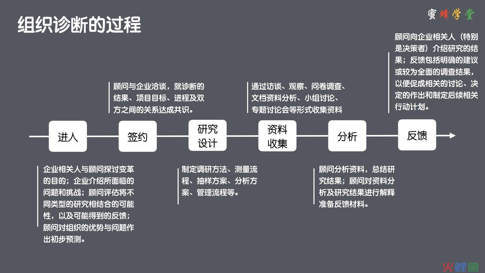 什么是组织流程