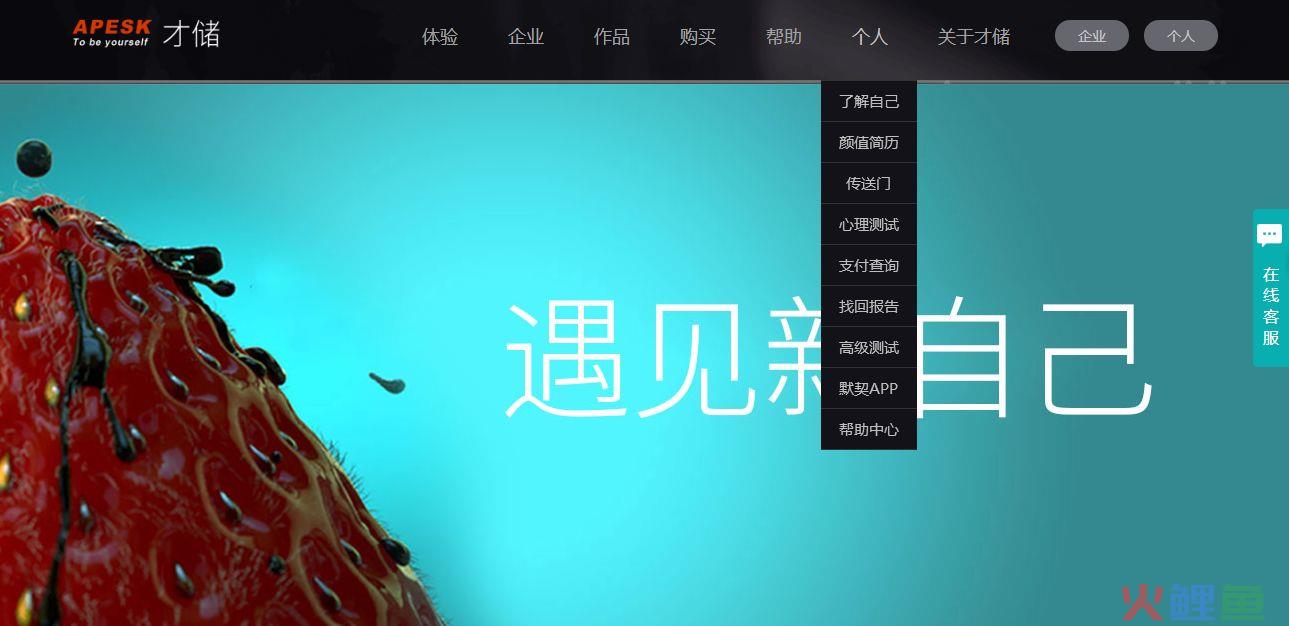  什么是职业兴趣测试 