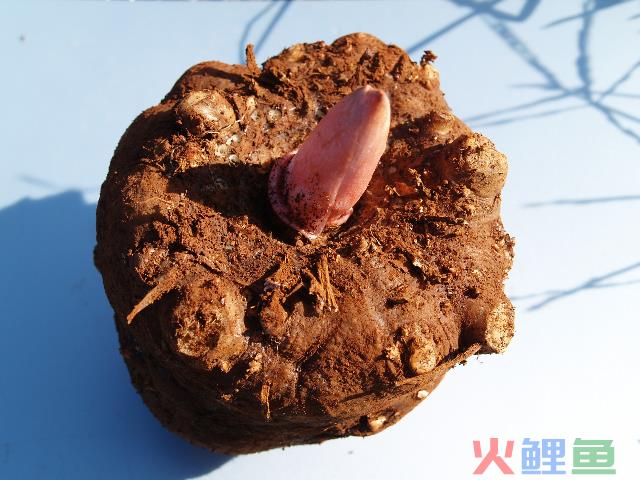  产品经营与其他经营方式的比较 