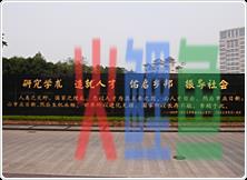  什么是启导？ 