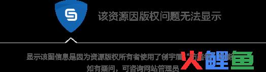  营业收入管理的要求 