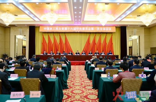  什么是大部制 