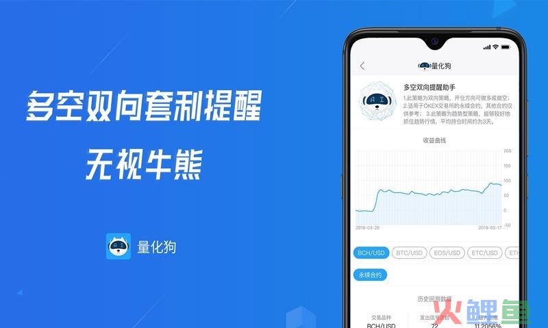 BSV模型概述 