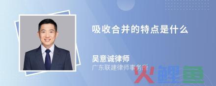  什么是购买式兼并 
