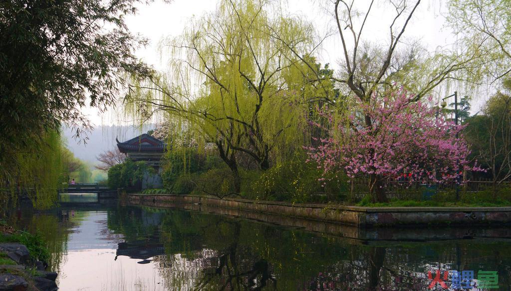  商业网站的发展与前景 