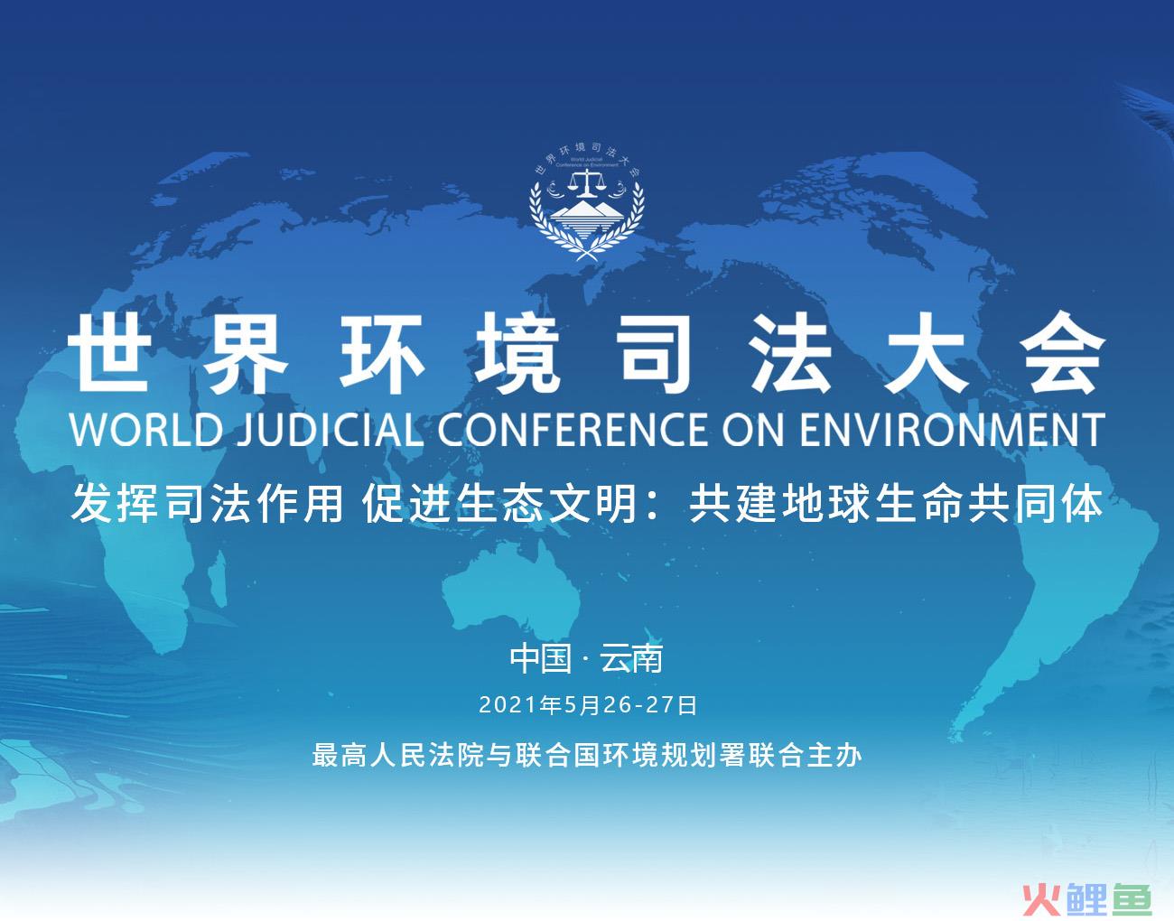 环境刑事诉讼的特点