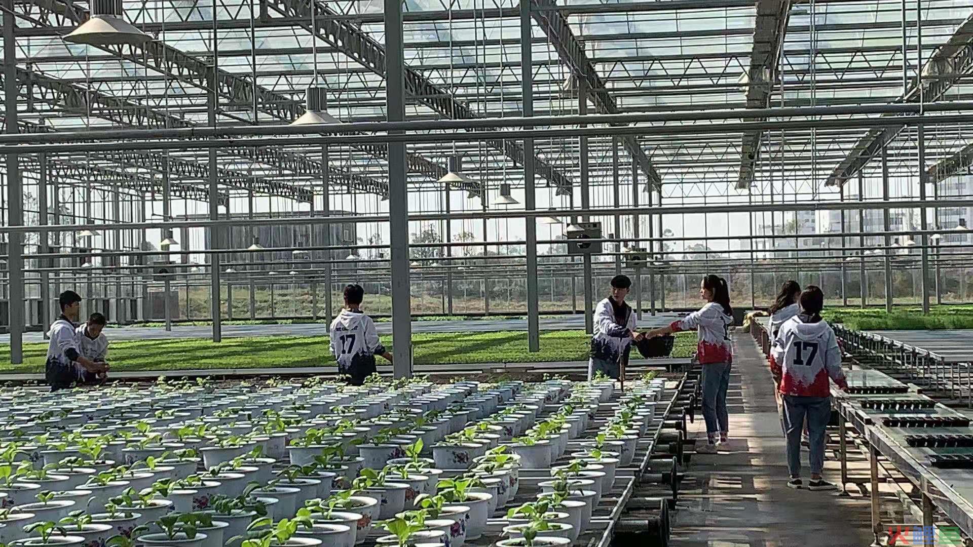 经营管理职能