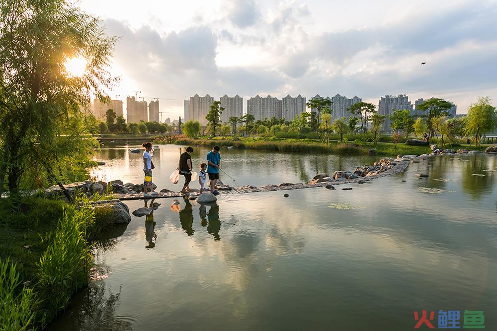 什么是低碳城市
