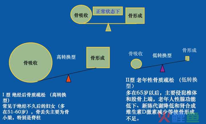 发生认识论的研究内容
