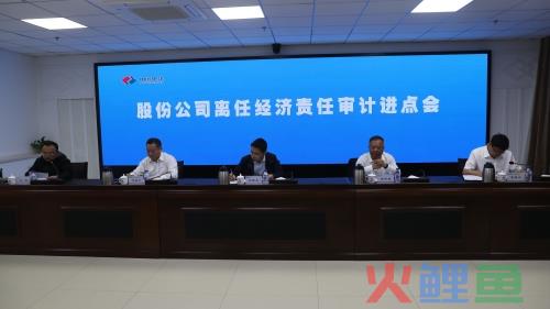  审计寻租概述 