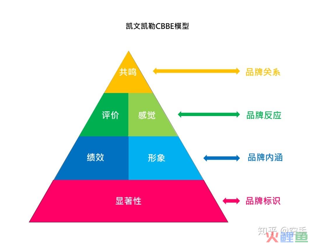  大卫·艾克简介 