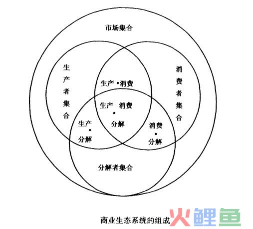 商业生态系统的结构