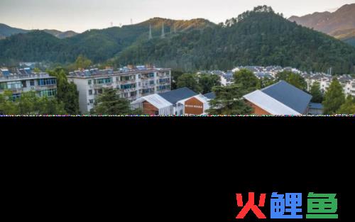 什么是创业生态系统